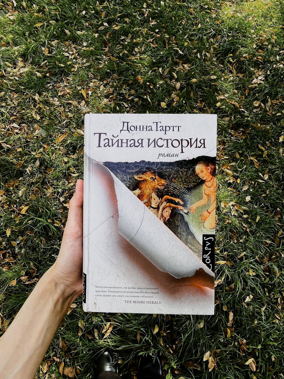 Books hand holding book on grassy background outdoors